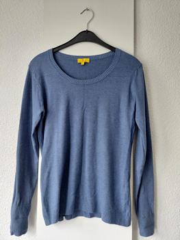 36 YELLOW LABEL blue -TS