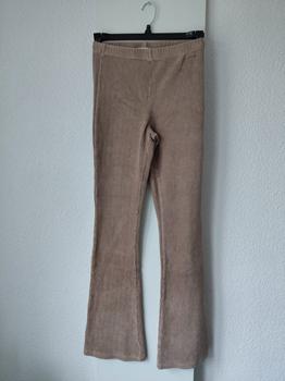 40 AMBIKA velvet flared - HN