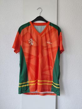 38 HOLLAND SAMBA -RR