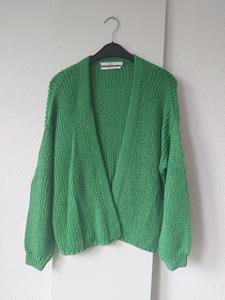 38 AAIKO groen vest -JG